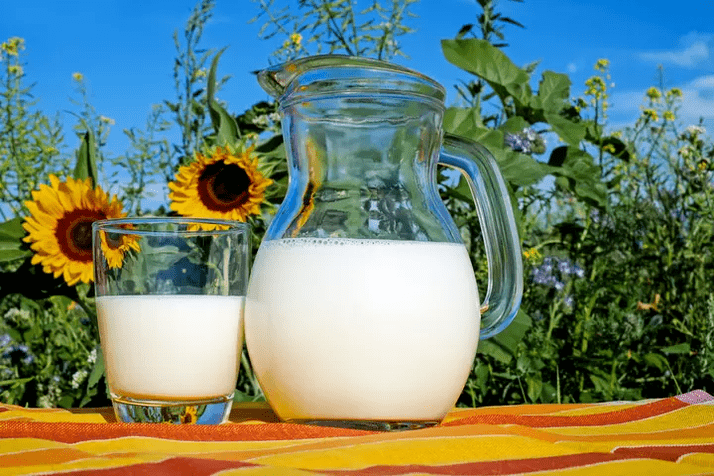 Milk is a staple in the Dukan diet